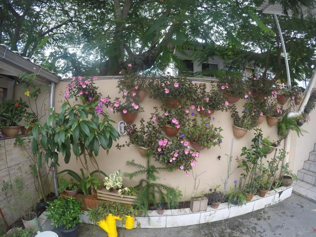 Pousada Timoteo Florianópolis 게스트하우스